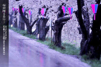 ��z �V�͊ݐ� �͔Ȃ̍� �J�̓��̏�i