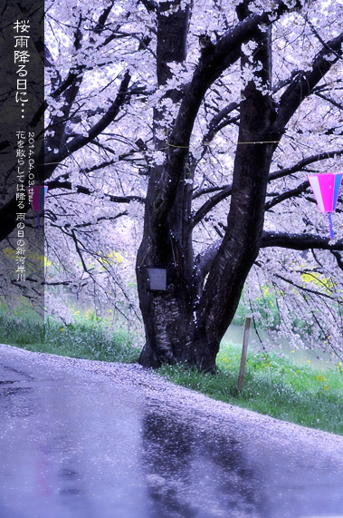 �X�p�U�� ���̂��镗�i �ԗ₦�̐V�͊ݐ�