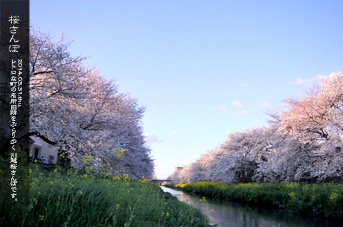 ��z ���̂��镗�i ��������̒� ���J