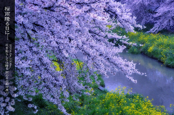 �X�p�U�� ���̂��镗�i �ԗ₦�̐V�͊ݐ�