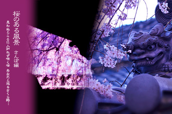 ��z ���̂��镗�i