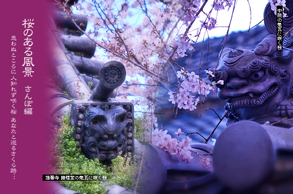 �X�p�U�� ���̂��镗�i