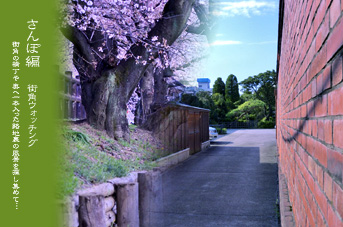 ��z �X�p�U��