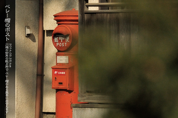 �X�p�U�� �X�p�̕��i �s�� �Z��ɗ��|�X�g