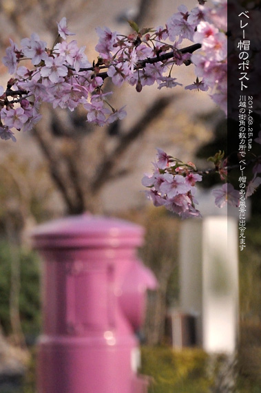 �X�p�U�� �X�p�̕��i ���]�ː�z �����V�ɗ��|�X�g