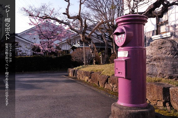 �X�p�U�� �X�p�̕��i ���]�ː�z �����V�ɗ��|�X�g