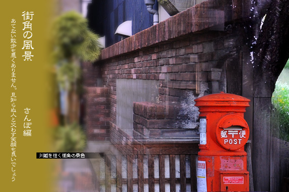 ��z �X�p�E�H�b�`���O �X�p�̕��i