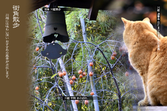 ��z�̊X�p�U��