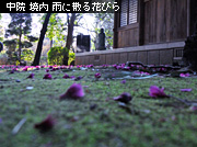 ��z ���̂��镗�i �������