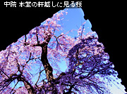 ��z ���̂��镗�i