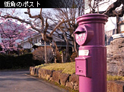 ��z �X�p�E�H�b�`���O �X�p�̕��i