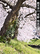 ��z �X�p�U�� 