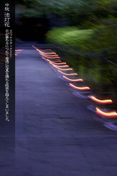 �Ă̍Ύ��L ���@ �@����