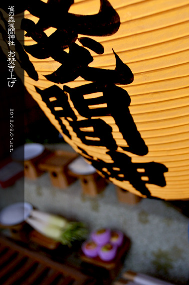 ��z �H�̍Ύ��L ���̐X �X��_�� �������グ