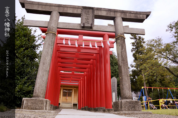 ��z �Ô��J�����_�� ��׎�