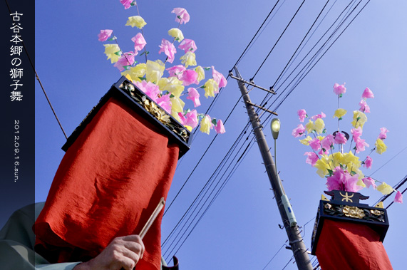 ��z �ÒJ�{���̎��q�� ���q���̌䗷