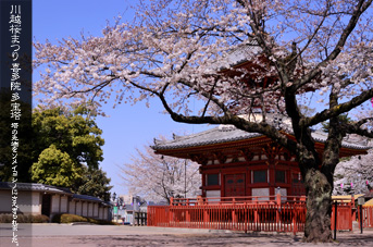 ��z �쑽�@ ���� �t�܂�