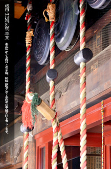 ��z ���c�R �{��