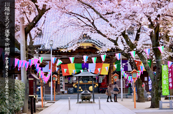 ��z �@�]�� ���܂�̓ۗ���