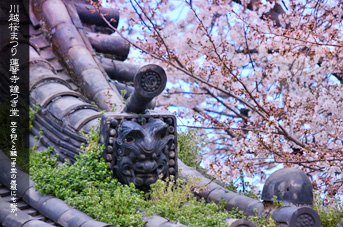 ��z �@�]�� ���̂���̏��O�� �����ɂ��ڂꂽ�G��