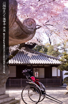 ��z �@�]�� �{���Ɛl�͎�