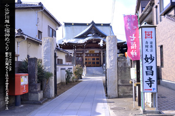 ��z �������@����