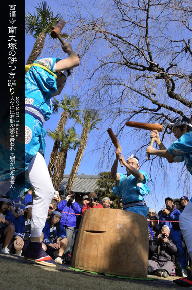 �~�̍Ύ��L ������ ���˂̖݂��x��