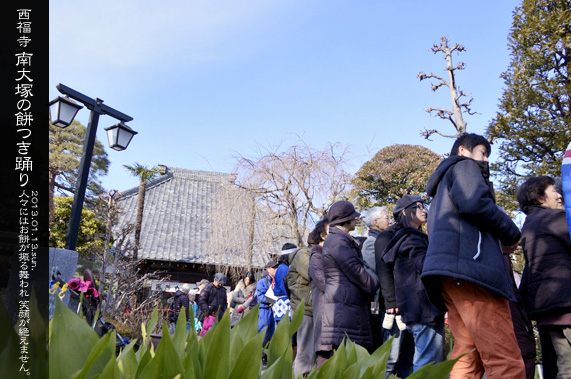 �~�̍Ύ��L ������ ���˂̖݂��x��