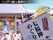 �~�̍Ύ��L ���]�ː�z�����_�߂���