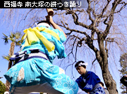 �~�̍Ύ��L ������ ���˂̖݂��x��