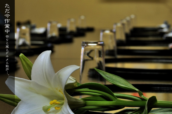 ���W���[�@�{�� ��